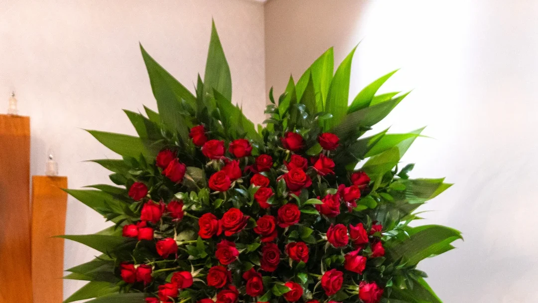 coroas-em-curitiba-moderna