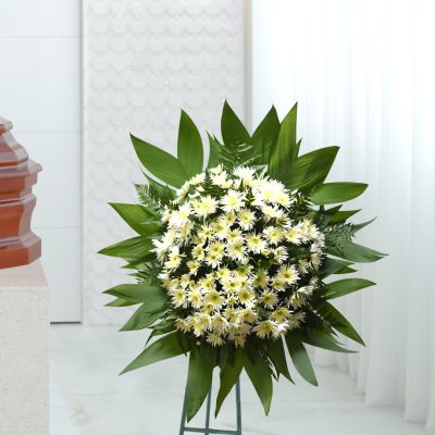 Coroa Àgata