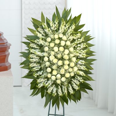 Coroa Cistal