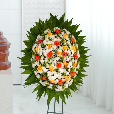 Coroa Turqueza
